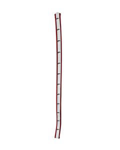 NO TAG  RED    BELT