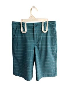 VALOR AQUA STRIPED SWIM TRUNKS