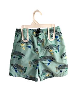 TEA GREEN SWIM TRUNKS