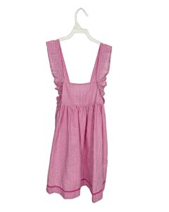 BUSY BEES  PINK SEERSUCKER GINGHAM  DRESS