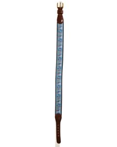 J. BAILEY  BLUE    BELT
