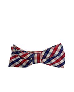 APPAMAN  BLUE  PLAID  TIE