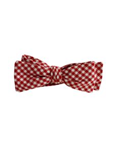 J. BAILEY RED GINGHAM TIE