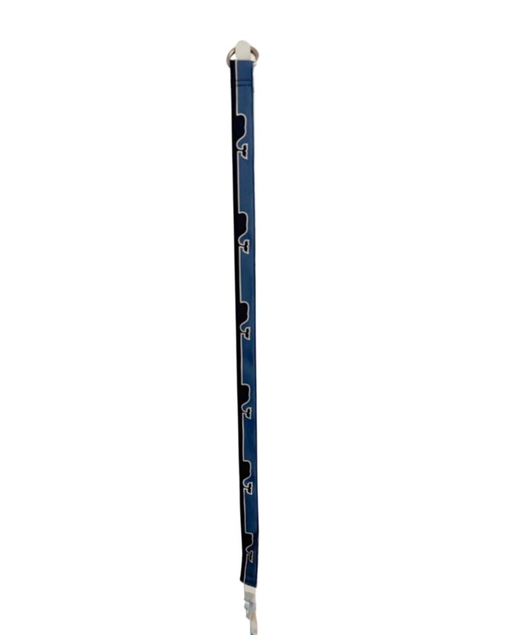 VINEYARD VINES  BLUE    BELT