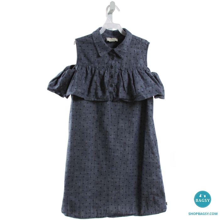 Kate spade unshot chambray dress