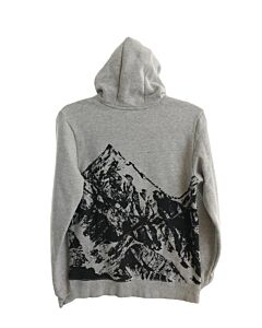 NORTH FACE  GRAY   PRINTED DESIGN PULLOVER