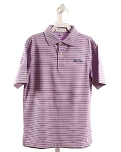 PETER MILLAR  LAVENDER  STRIPED  KNIT SS SHIRT