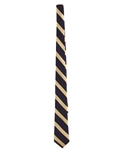 BROOKS BROTHERS  BLUE  STRIPED  TIE