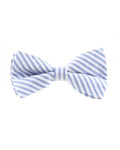 BROWN BOWEN  BLUE  STRIPED  TIE