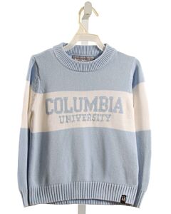 BRUZER  LT BLUE    SWEATER